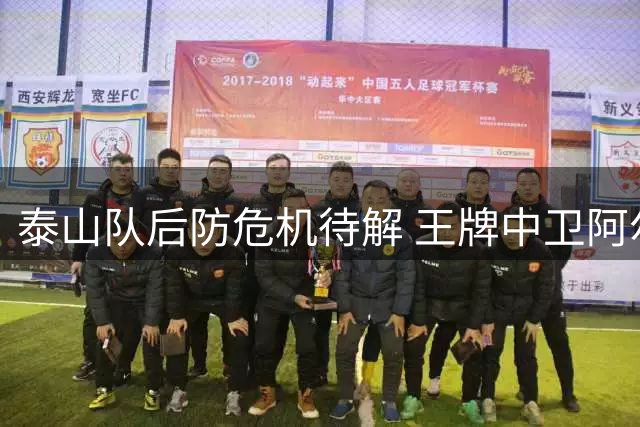 泰山队后防危机待解 王牌中卫阿尔瓦罗复出进入倒计时