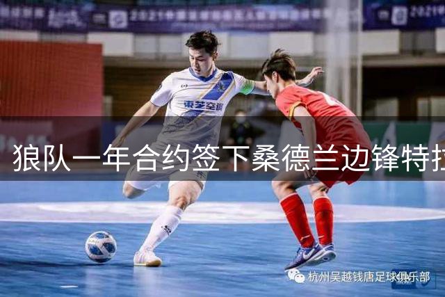 狼队一年合约签下桑德兰边锋特拉奥雷